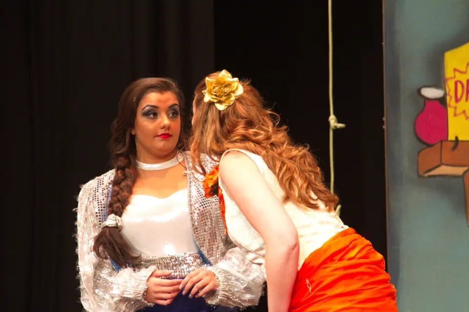 Willenhall Musical Theatre Company's 2013 pantomime, Aladdin. Photograph 11 of 30.