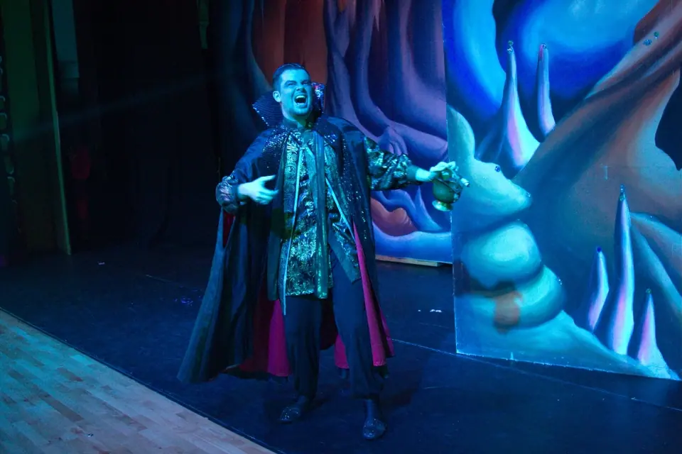 Willenhall Musical Theatre Company's 2013 pantomime, Aladdin. Photograph 27 of 41.