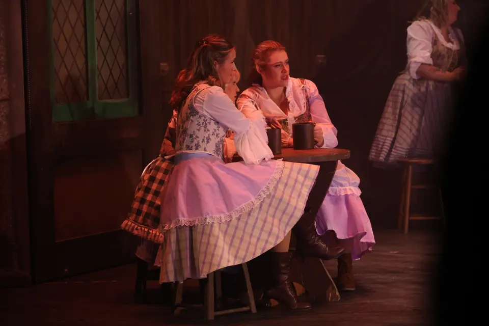 Willenhall Musical Theatre Company's 2024 production of Beauty and the Beast at Dormston Mill Theatre, Sedgley. Photograph 234 of 327.