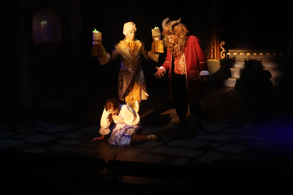 Willenhall Musical Theatre Company's 2024 production of Beauty and the Beast at Dormston Mill Theatre, Sedgley. Photograph 45 of 327.