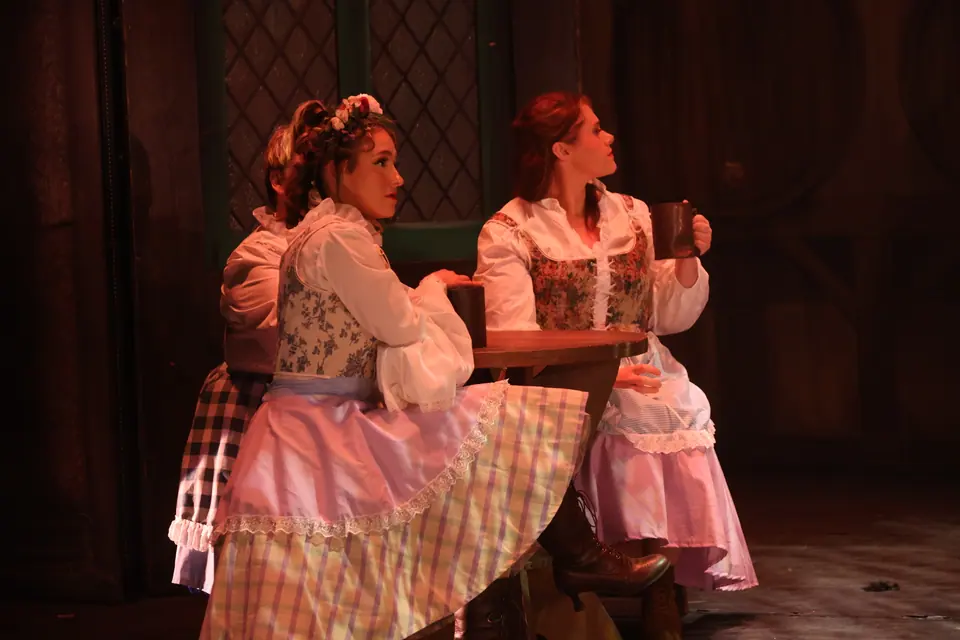 Willenhall Musical Theatre Company's 2024 production of Beauty and the Beast at Dormston Mill Theatre, Sedgley. Photograph 50 of 327.