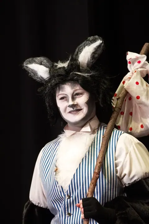 Willenhall Musical Theatre Company's 2015 pantomime, Dick Whittington at Coppice Performing Arts School, Wednesfield. Photograph 14 of 30.