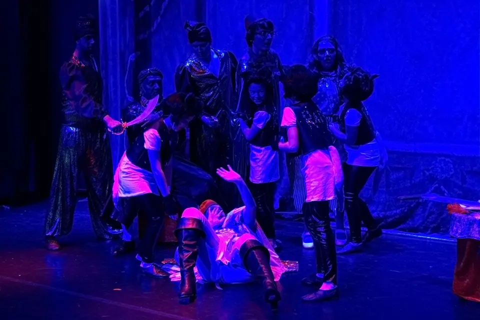 Willenhall Musical Theatre Company's 2015 pantomime, Dick Whittington at Coppice Performing Arts School, Wednesfield. Photograph 160 of 182.