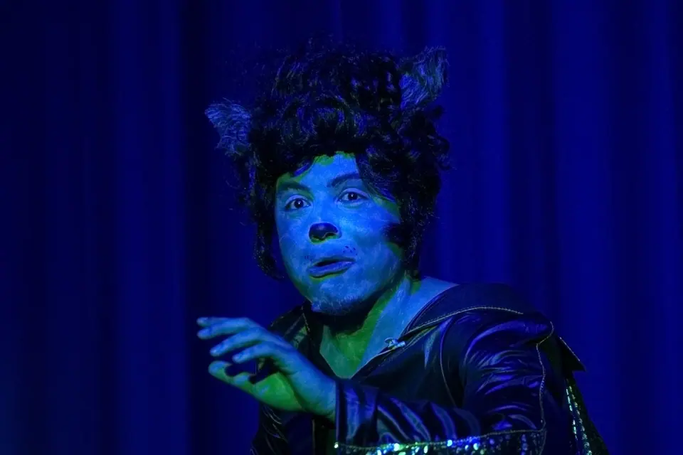 Willenhall Musical Theatre Company's 2015 pantomime, Dick Whittington at Coppice Performing Arts School, Wednesfield. Photograph 179 of 182.