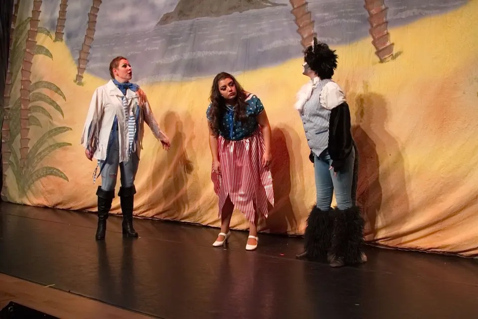 Willenhall Musical Theatre Company's 2015 pantomime, Dick Whittington at Coppice Performing Arts School, Wednesfield. Photograph 25 of 30.