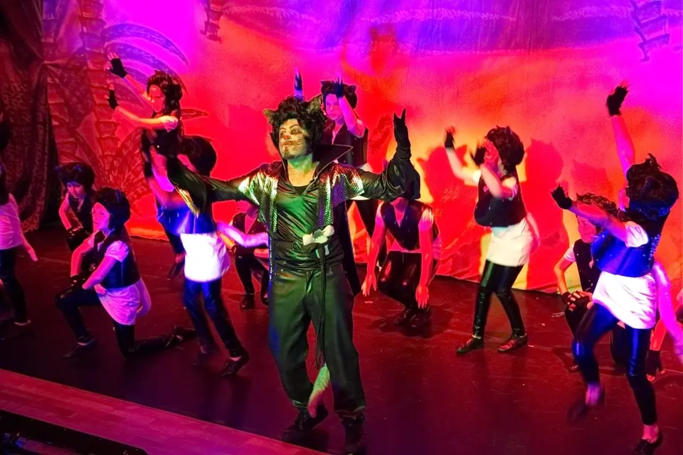 Willenhall Musical Theatre Company's 2015 pantomime, Dick Whittington at Coppice Performing Arts School, Wednesfield. Photograph 32 of 182.