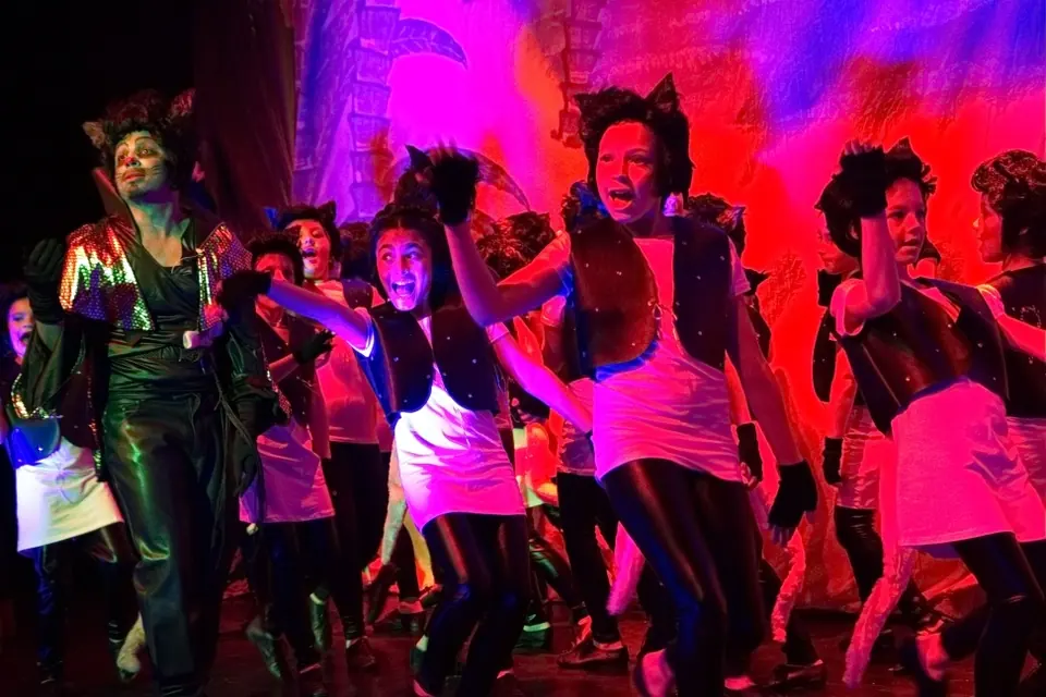 Willenhall Musical Theatre Company's 2015 pantomime, Dick Whittington at Coppice Performing Arts School, Wednesfield. Photograph 44 of 182.