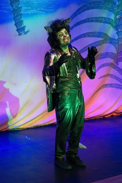 Willenhall Musical Theatre Company's 2015 pantomime, Dick Whittington at Coppice Performing Arts School, Wednesfield. Photograph 54 of 182.