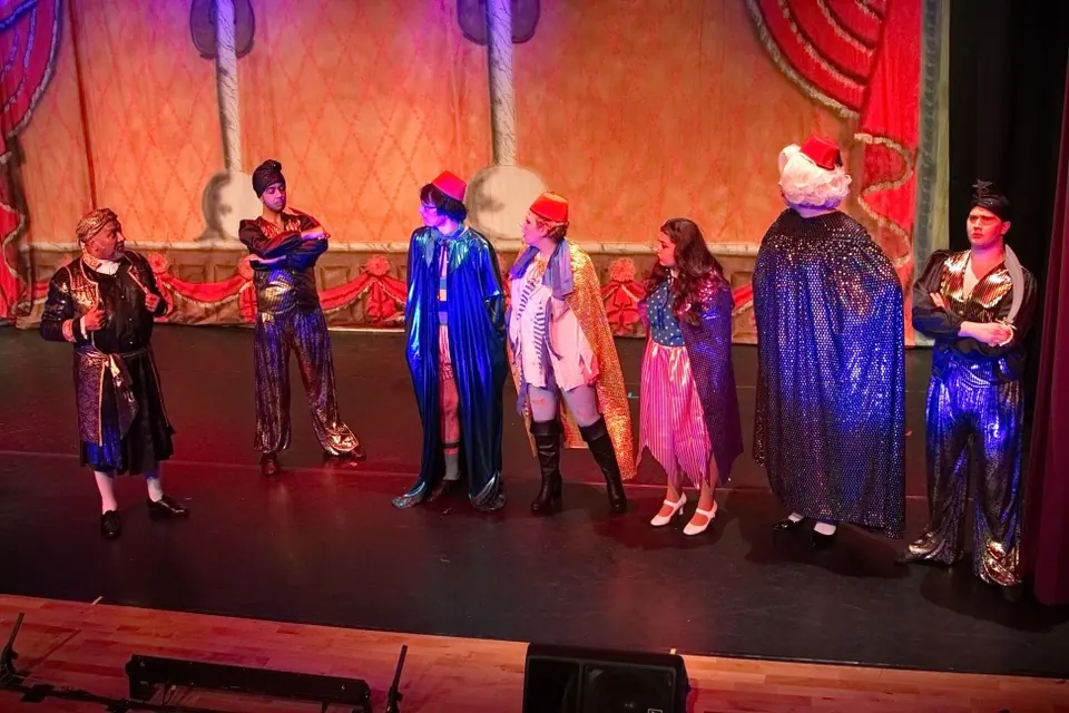 Willenhall Musical Theatre Company's 2015 pantomime, Dick Whittington at Coppice Performing Arts School, Wednesfield. Photograph 68 of 182.
