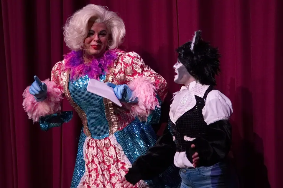 Willenhall Musical Theatre Company's 2015 pantomime, Dick Whittington at Coppice Performing Arts School, Wednesfield. Photograph 71 of 182.