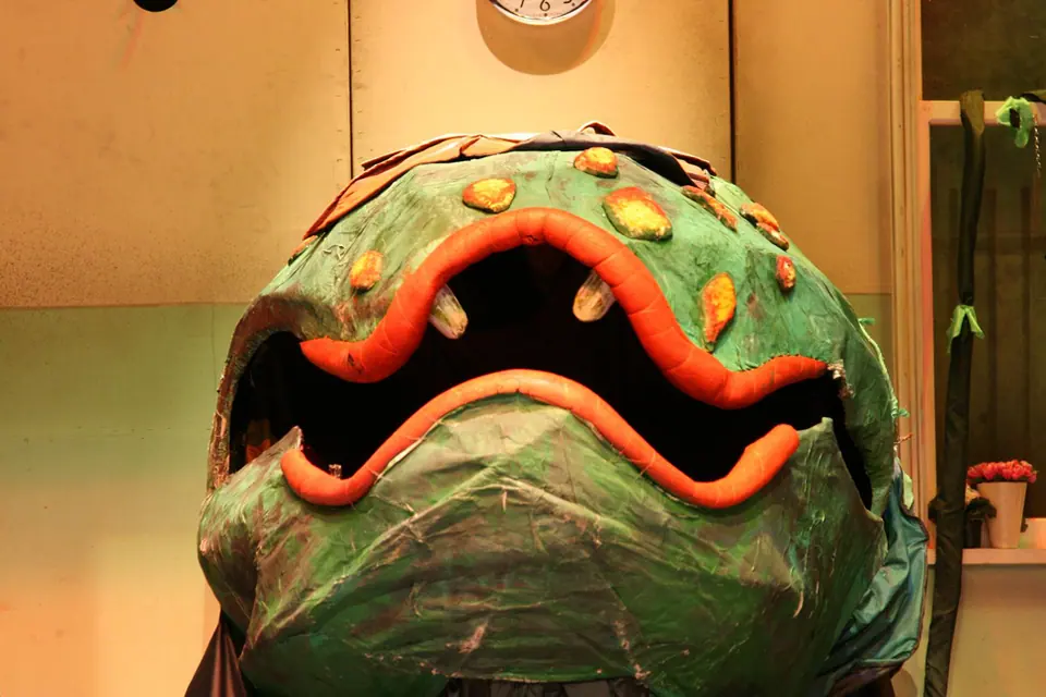 Willenhall Musical Theatre Company's 2008 production of Little Shop of Horrors. Photograph 5 of 30.