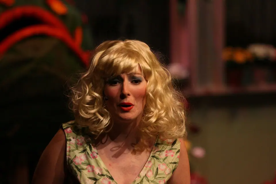 Willenhall Musical Theatre Company's 2008 production of Little Shop of Horrors. Photograph 88 of 171.
