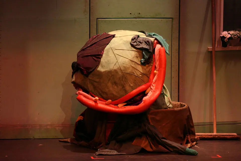 Willenhall Musical Theatre Company's 2008 production of Little Shop of Horrors. Photograph 93 of 171.