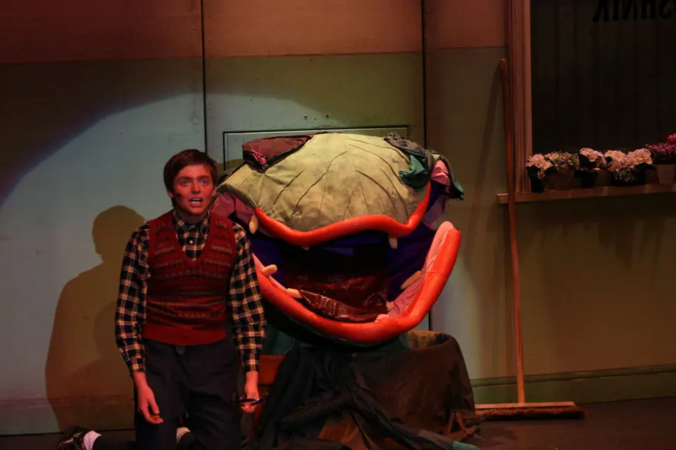 Willenhall Musical Theatre Company's 2008 production of Little Shop of Horrors. Photograph 115 of 171.