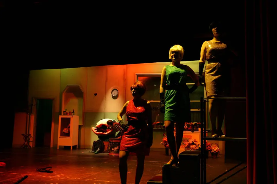 Willenhall Musical Theatre Company's 2008 production of Little Shop of Horrors. Photograph 117 of 171.