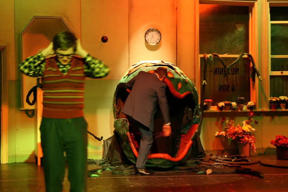 Willenhall Musical Theatre Company's 2008 production of Little Shop of Horrors. Photograph 14 of 30.