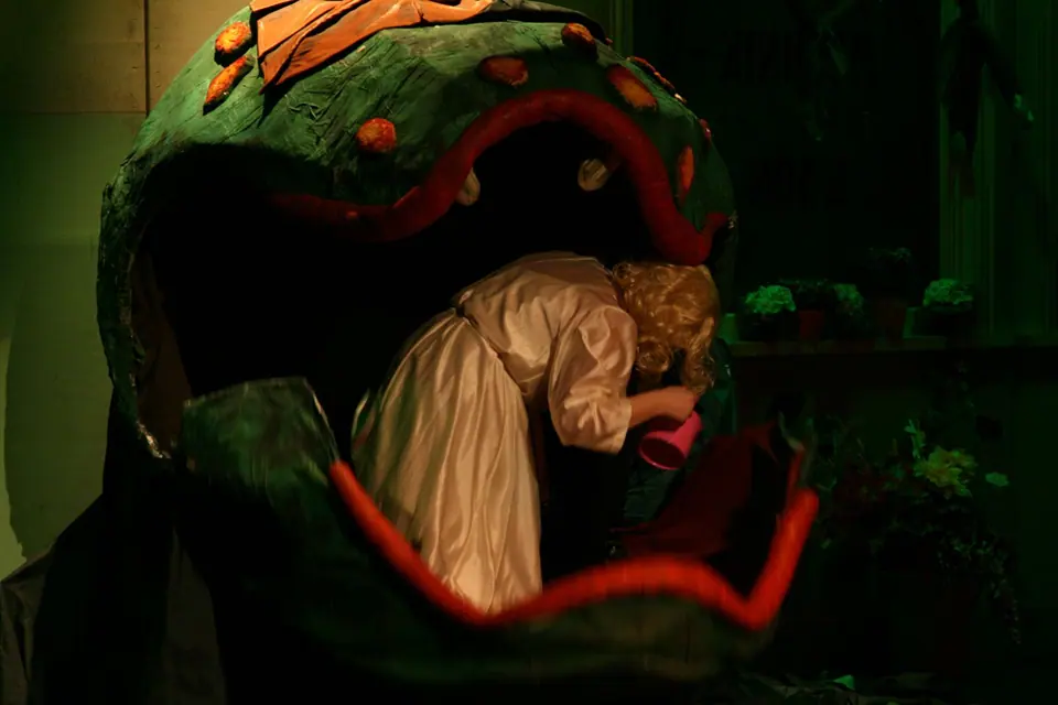 Willenhall Musical Theatre Company's 2008 production of Little Shop of Horrors. Photograph 138 of 171.
