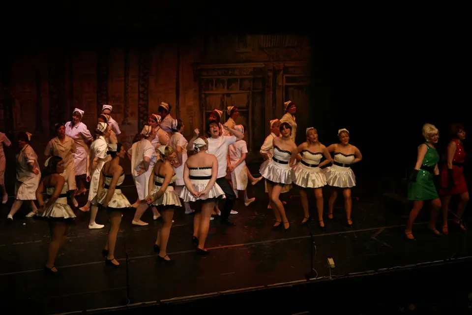 Willenhall Musical Theatre Company's 2008 production of Little Shop of Horrors. Photograph 139 of 171.
