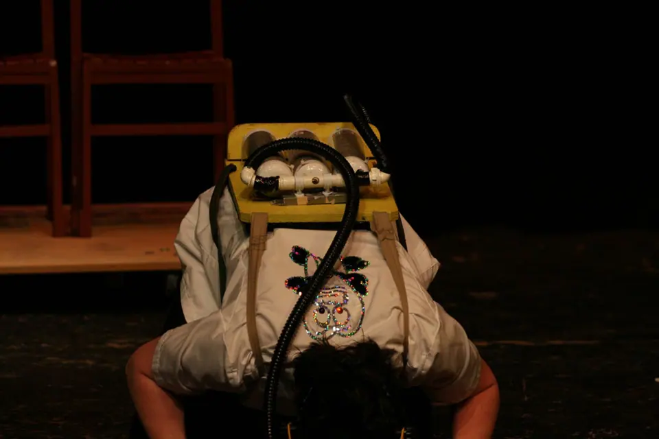 Willenhall Musical Theatre Company's 2008 production of Little Shop of Horrors. Photograph 143 of 171.