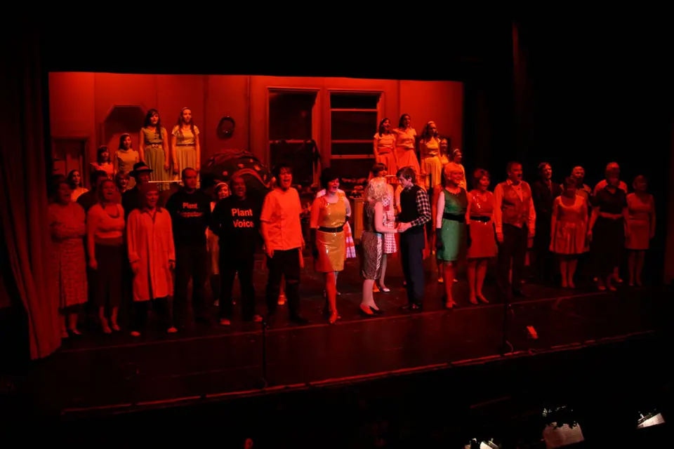 Willenhall Musical Theatre Company's 2008 production of Little Shop of Horrors. Photograph 147 of 171.