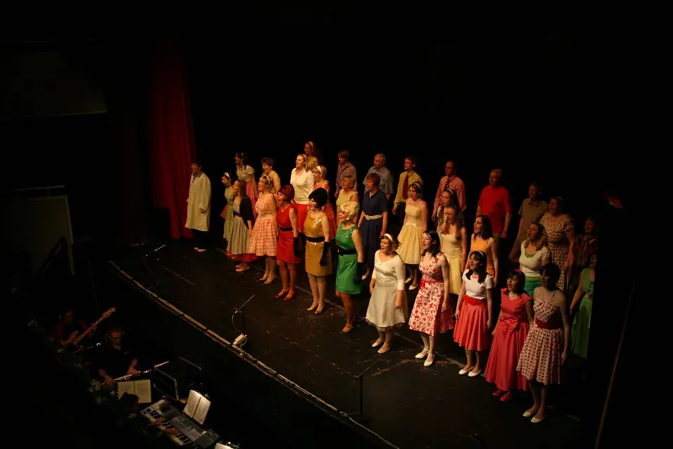 Willenhall Musical Theatre Company's 2008 production of Little Shop of Horrors. Photograph 148 of 171.