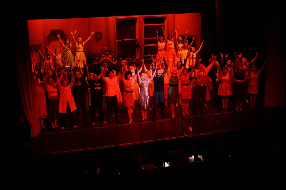 Willenhall Musical Theatre Company's 2008 production of Little Shop of Horrors. Photograph 150 of 171.