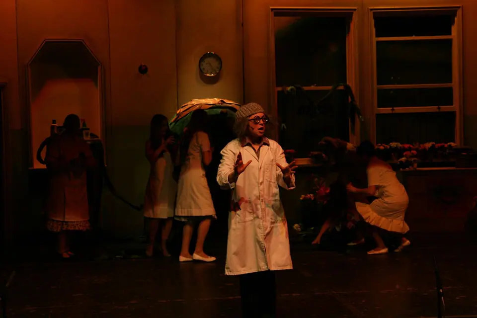 Willenhall Musical Theatre Company's 2008 production of Little Shop of Horrors. Photograph 152 of 171.