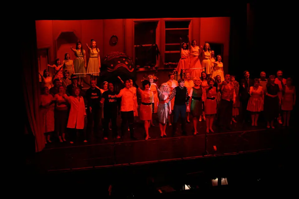 Willenhall Musical Theatre Company's 2008 production of Little Shop of Horrors. Photograph 156 of 171.