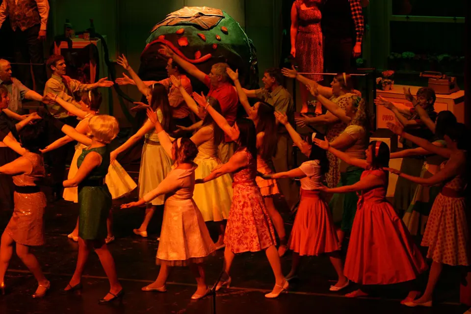 Willenhall Musical Theatre Company's 2008 production of Little Shop of Horrors. Photograph 30 of 30.