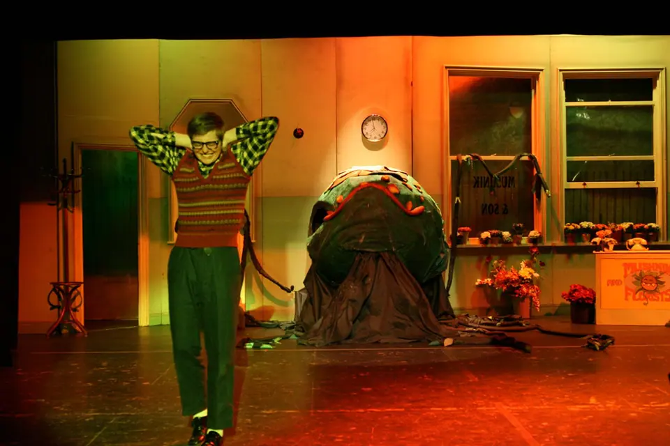Willenhall Musical Theatre Company's 2008 production of Little Shop of Horrors. Photograph 24 of 171.