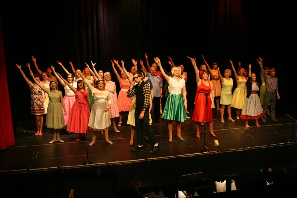 Willenhall Musical Theatre Company's 2008 production of Little Shop of Horrors. Photograph 56 of 171.