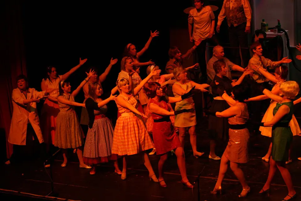 Willenhall Musical Theatre Company's 2008 production of Little Shop of Horrors. Photograph 67 of 171.