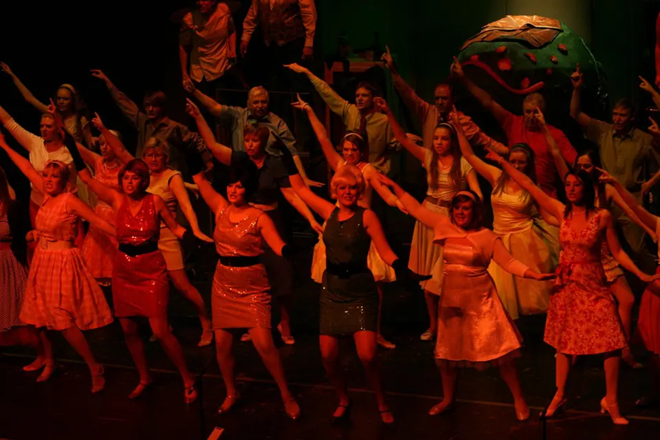 Willenhall Musical Theatre Company's 2008 production of Little Shop of Horrors. Photograph 70 of 171.