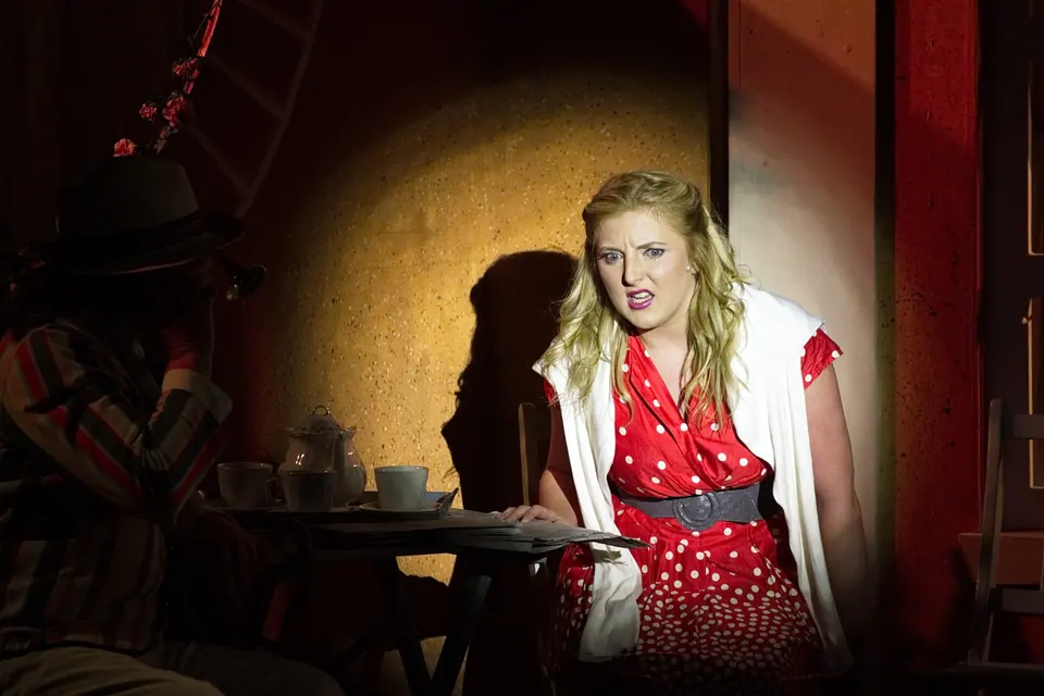Willenhall Musical Theatre Company's 2016 production of Me and My Girl at Dormston Mill Theatre, Sedgley. Photograph 170 of 308.