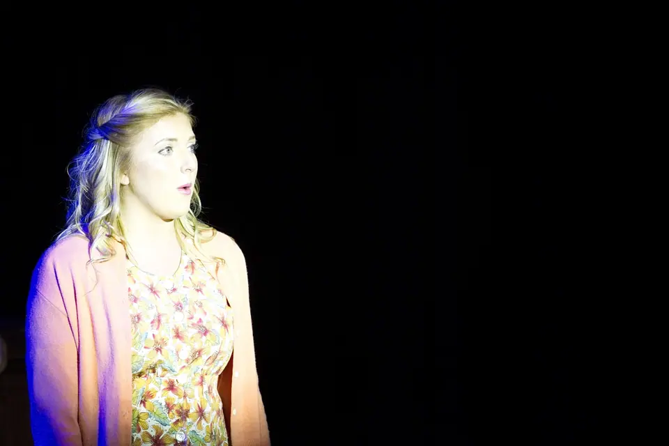 Willenhall Musical Theatre Company's 2016 production of Me and My Girl at Dormston Mill Theatre, Sedgley. Photograph 177 of 308.