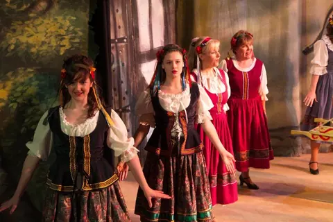Willenhall Musical Theatre Company's 2011 pantomime, Mother Goose at Moreton Community School, Wolverhampton. Photograph 6 of 30.