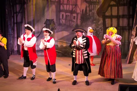 Willenhall Musical Theatre Company's 2011 pantomime, Mother Goose at Moreton Community School, Wolverhampton. Photograph 10 of 30.