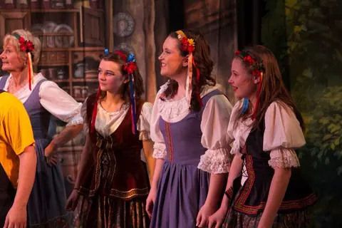 Willenhall Musical Theatre Company's 2011 pantomime, Mother Goose at Moreton Community School, Wolverhampton. Photograph 20 of 30.