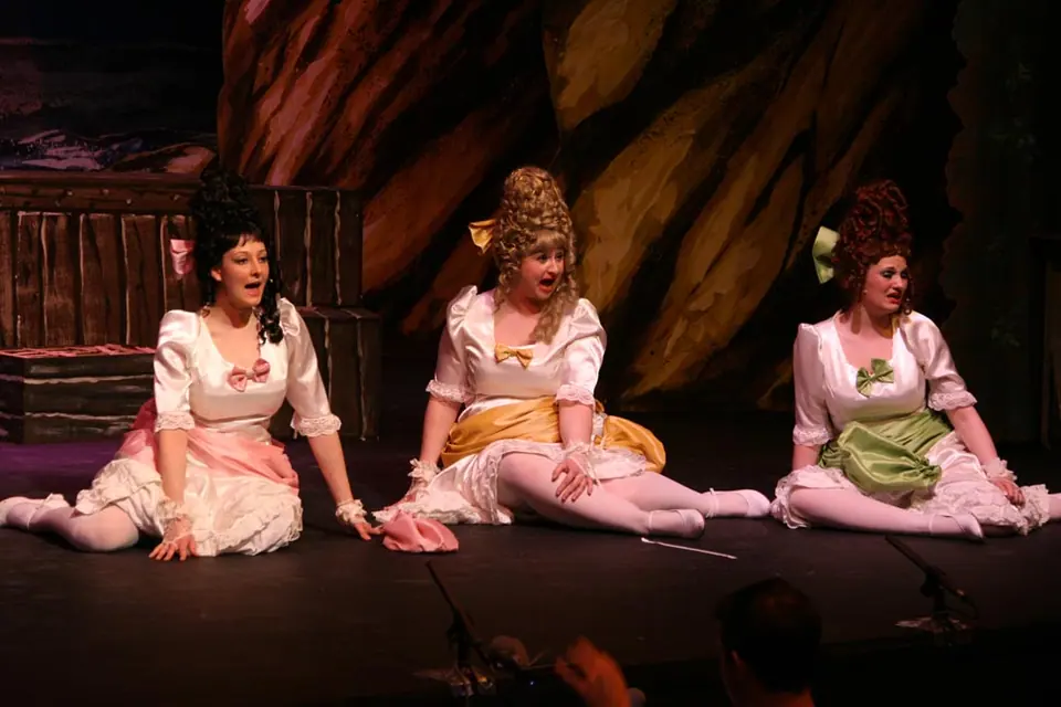 Willenhall Musical Theatre Company's 2010 production of Pirates of Penzance. Photograph 97 of 145.