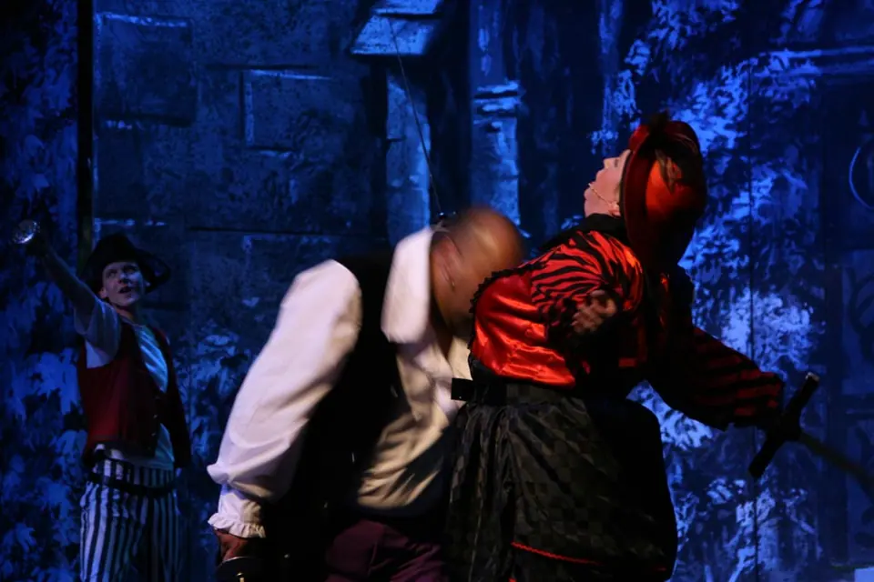 Willenhall Musical Theatre Company's 2010 production of Pirates of Penzance. Photograph 129 of 145.