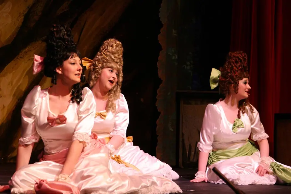 Willenhall Musical Theatre Company's 2010 production of Pirates of Penzance. Photograph 21 of 30.