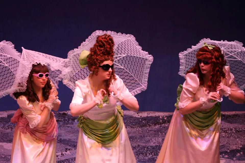 Willenhall Musical Theatre Company's 2010 production of Pirates of Penzance. Photograph 42 of 145.