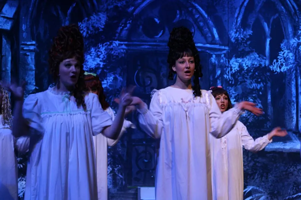 Willenhall Musical Theatre Company's 2010 production of Pirates of Penzance. Photograph 70 of 145.