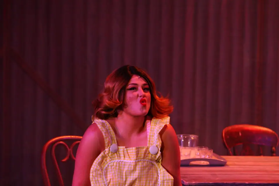 Willenhall Musical Theatre Company's 2022 production of Priscilla Queen of the Desert at Dormston Mill Theatre, Sedgley. Photograph 134 of 246.