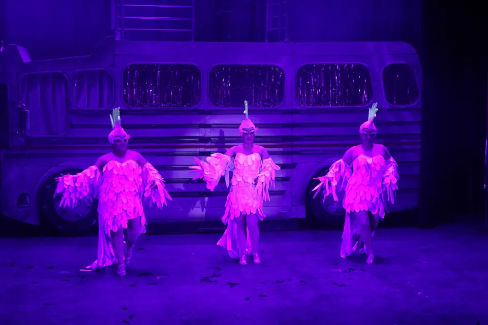 Willenhall Musical Theatre Company's 2022 production of Priscilla Queen of the Desert at Dormston Mill Theatre, Sedgley. Photograph 230 of 246.
