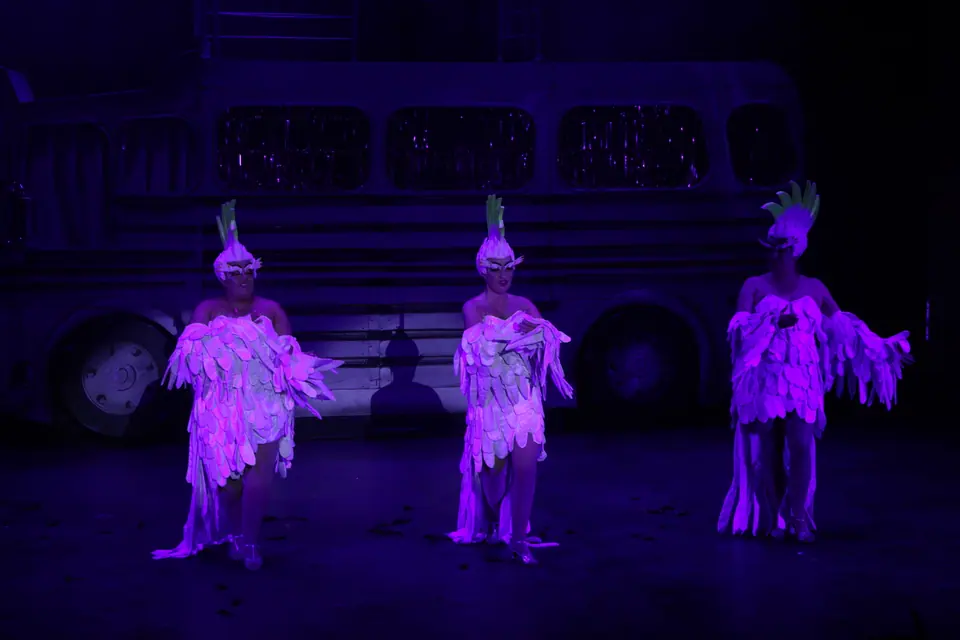 Willenhall Musical Theatre Company's 2022 production of Priscilla Queen of the Desert at Dormston Mill Theatre, Sedgley. Photograph 231 of 246.