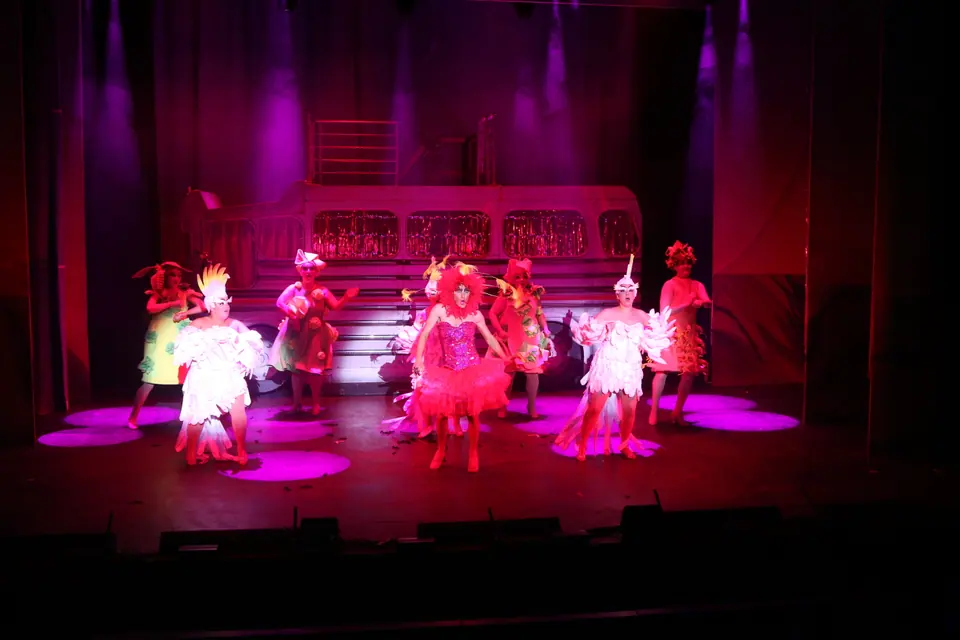 Willenhall Musical Theatre Company's 2022 production of Priscilla Queen of the Desert at Dormston Mill Theatre, Sedgley. Photograph 232 of 246.