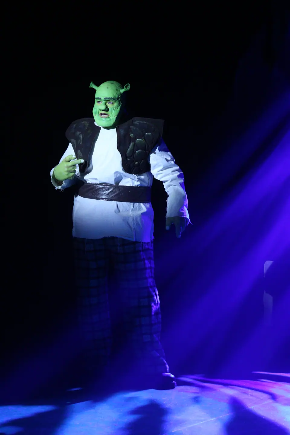 Willenhall Musical Theatre Company's 2023 production of Shrek the Musical at Dormston Mill Theatre, Sedgley. Photograph 1 of 8.