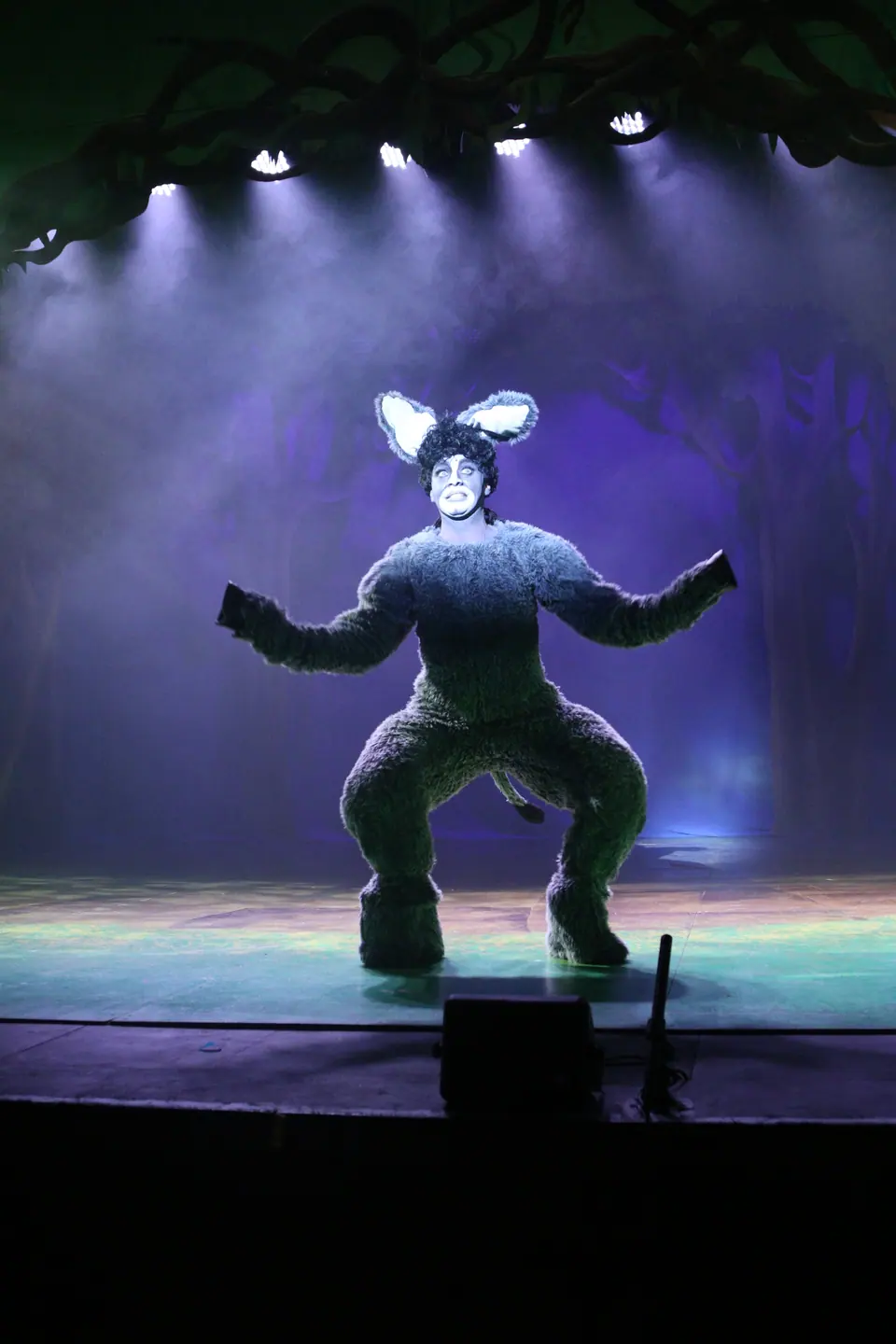 Willenhall Musical Theatre Company's 2023 production of Shrek the Musical at Dormston Mill Theatre, Sedgley. Photograph 3 of 8.