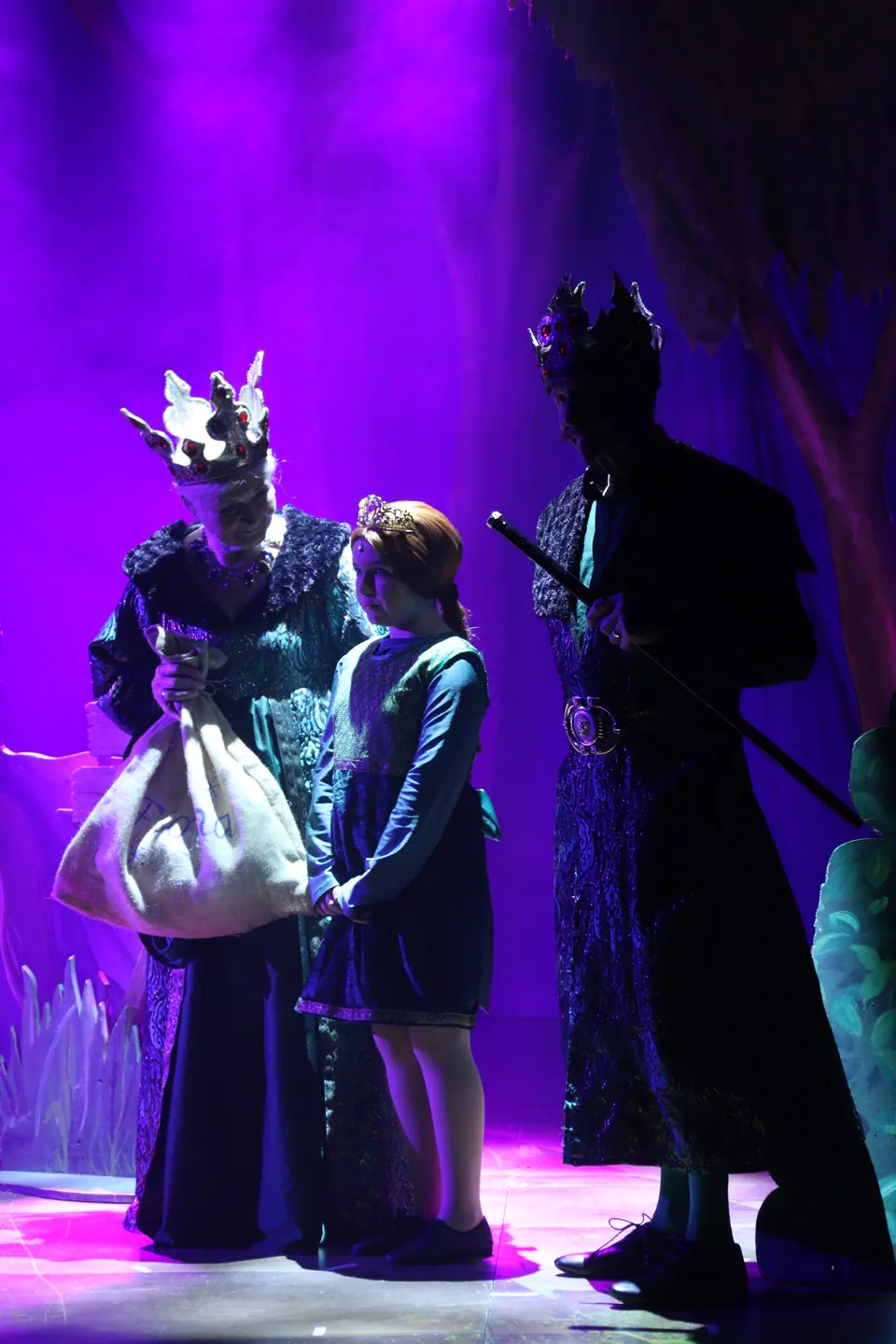 Willenhall Musical Theatre Company's 2023 production of Shrek the Musical at Dormston Mill Theatre, Sedgley. Photograph 10 of 165.